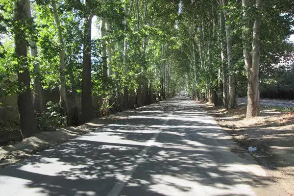 باغ ۴۰۰ متری خوشنام