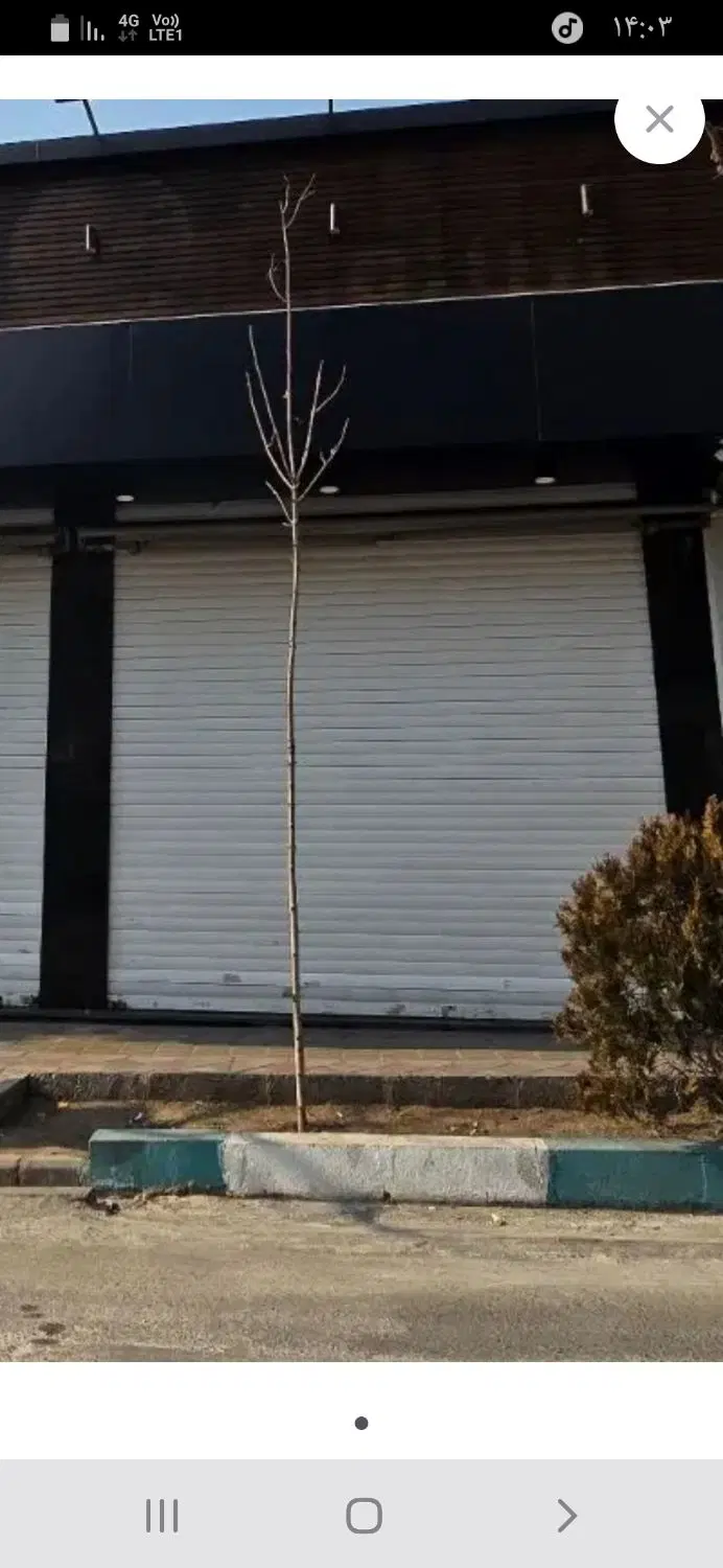 ۲۰متر مغازه براصلی نامجو گرگان