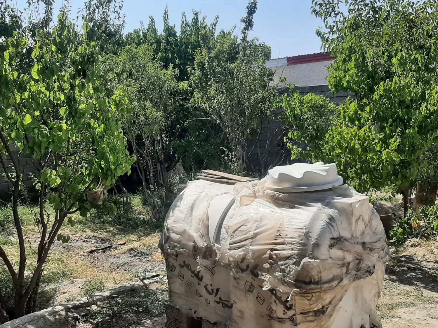 باغچه۳۰۰متری