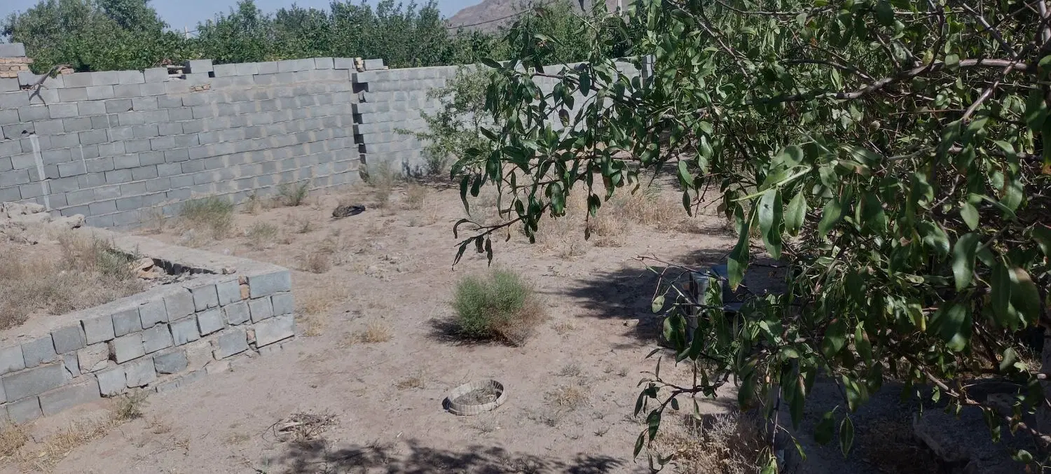 زمین 300 متری تنگ چنار