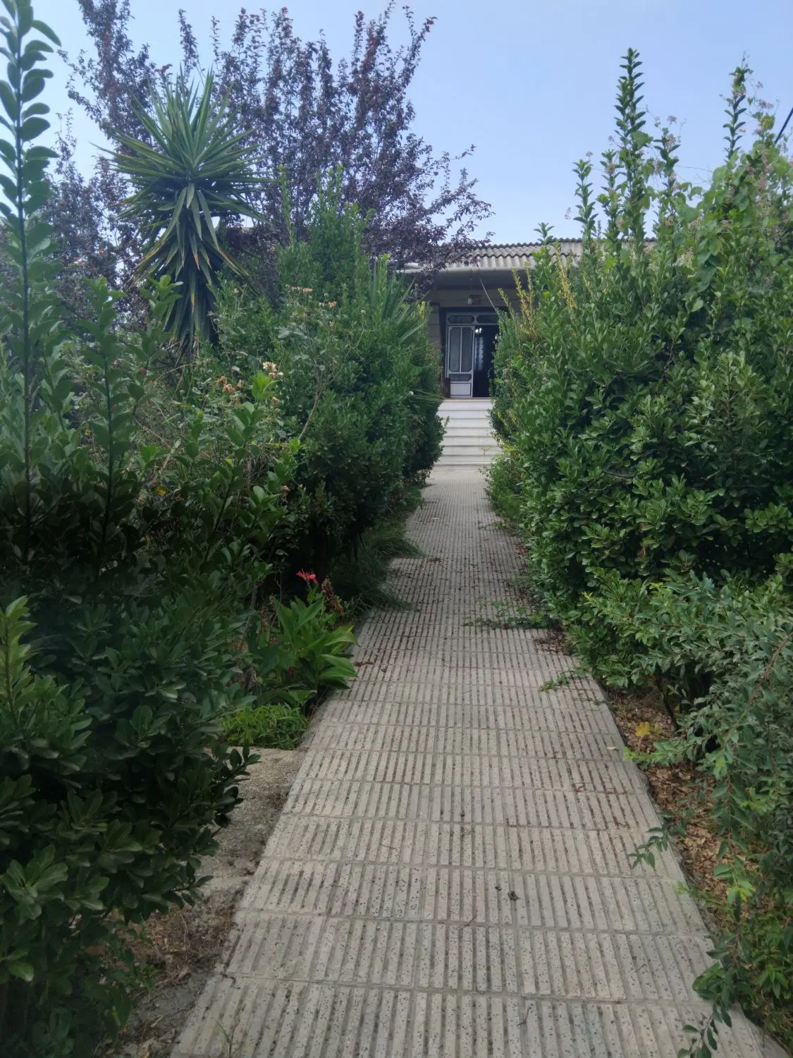 فروشی مسکونی