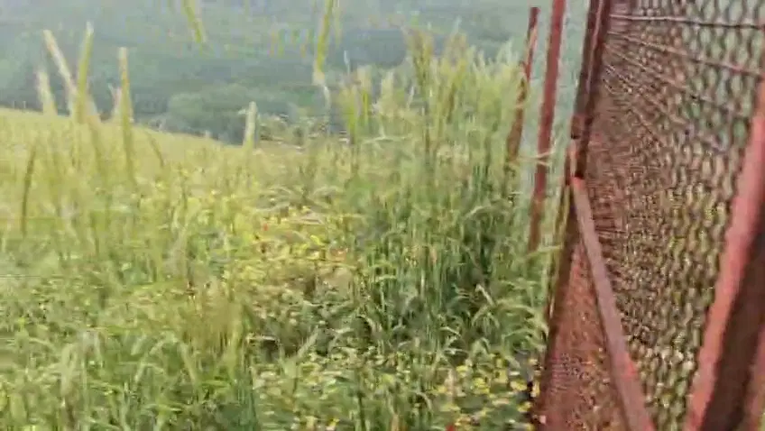 ۴۰۰۰۰مترمربع زمین باغی دل روستای چلوانسرا