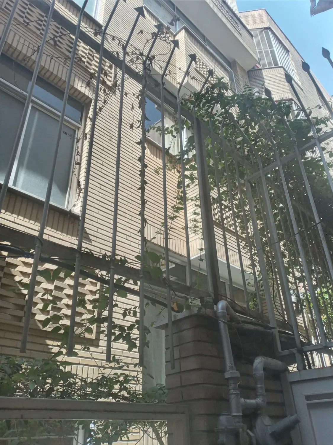 اسکندری۴طبقه یکجا