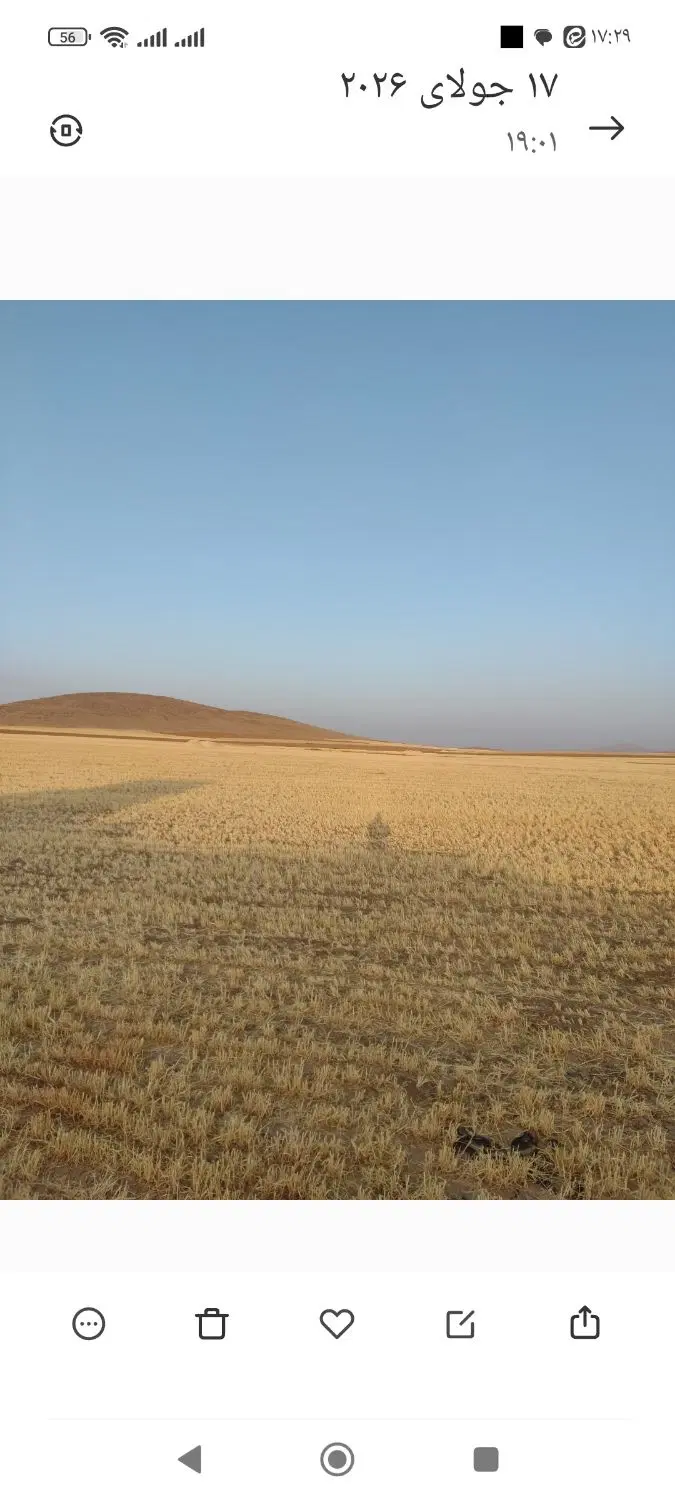زمین کشاورزی