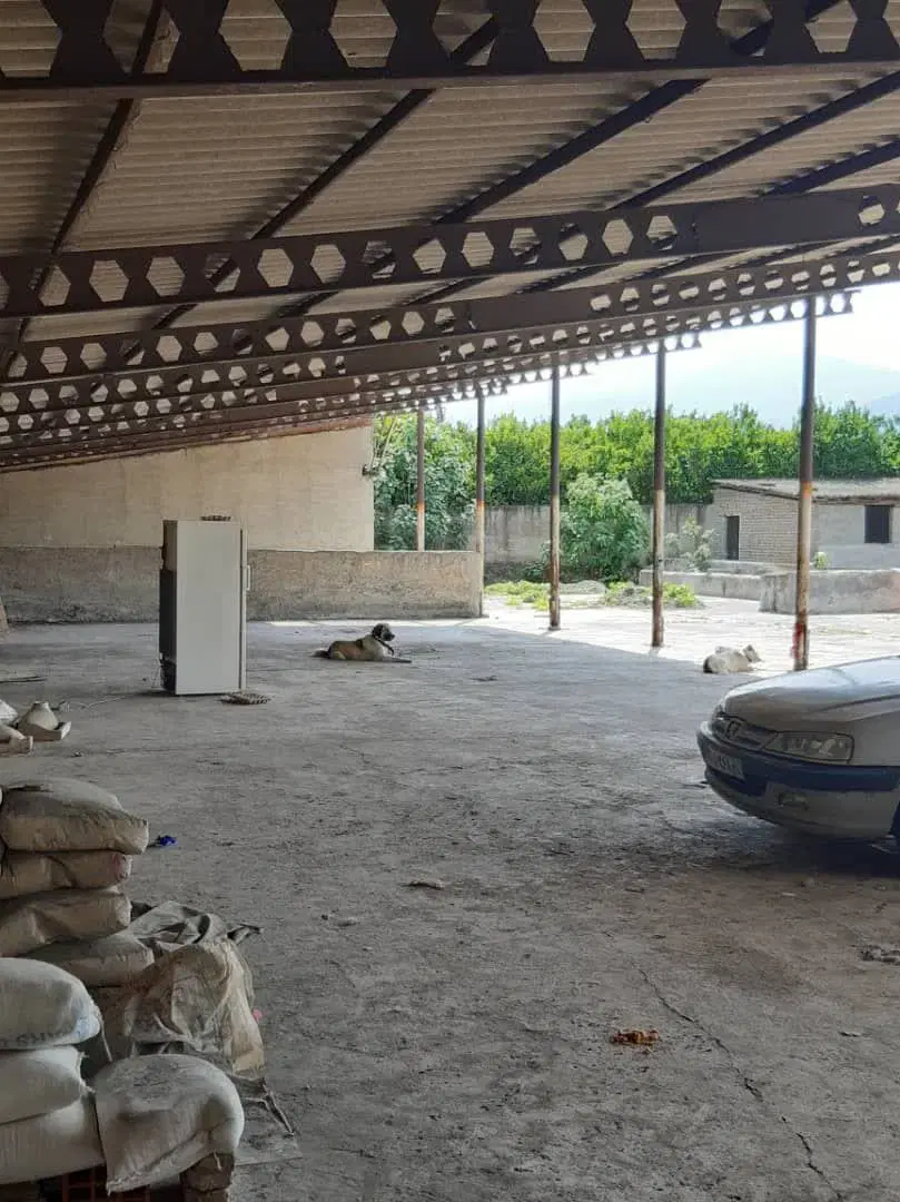 شمال بندرگز  ۵ هزار متر دو کله باغ ویلا