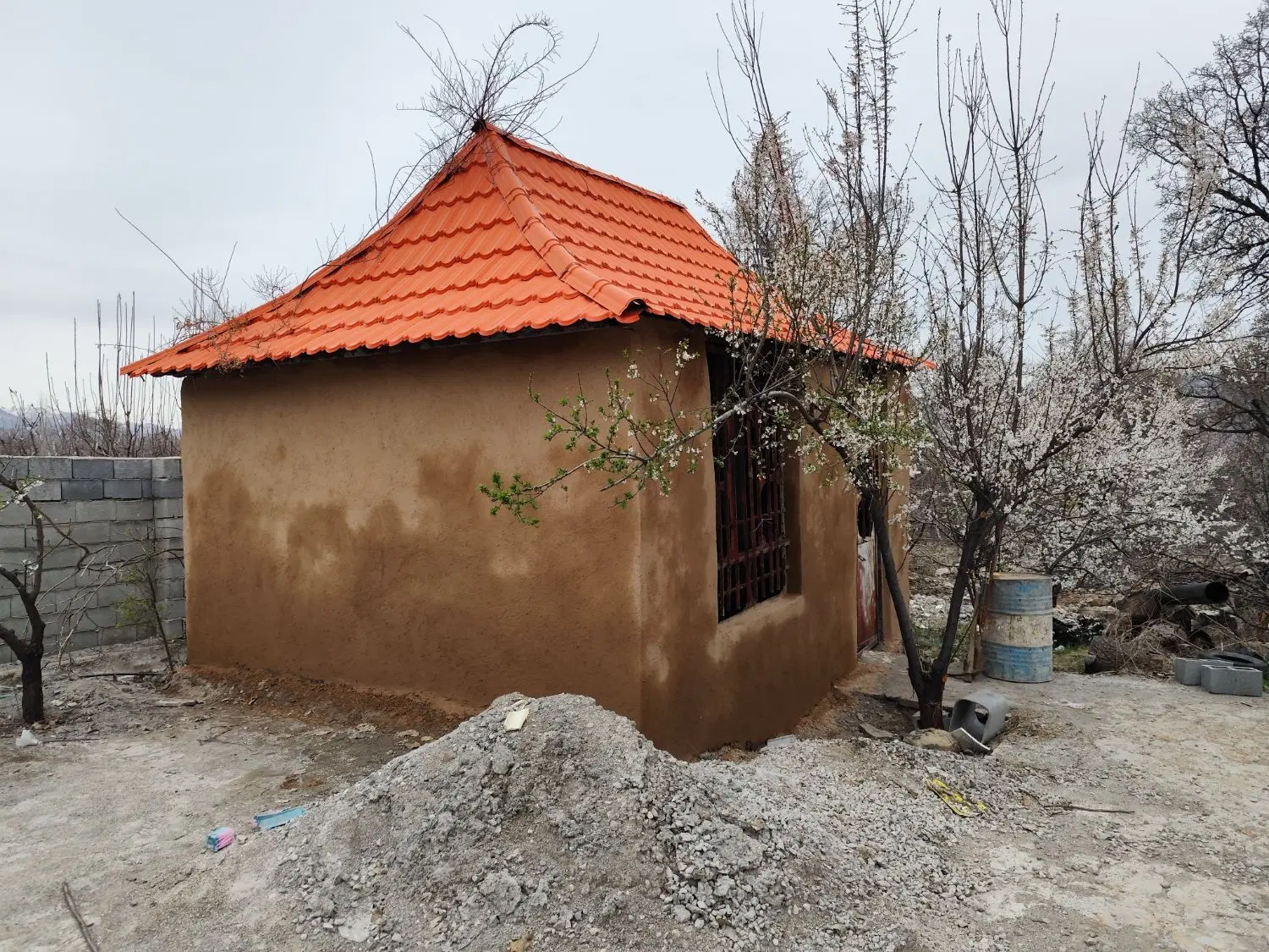 بوگردی پونه ده برآفتاب