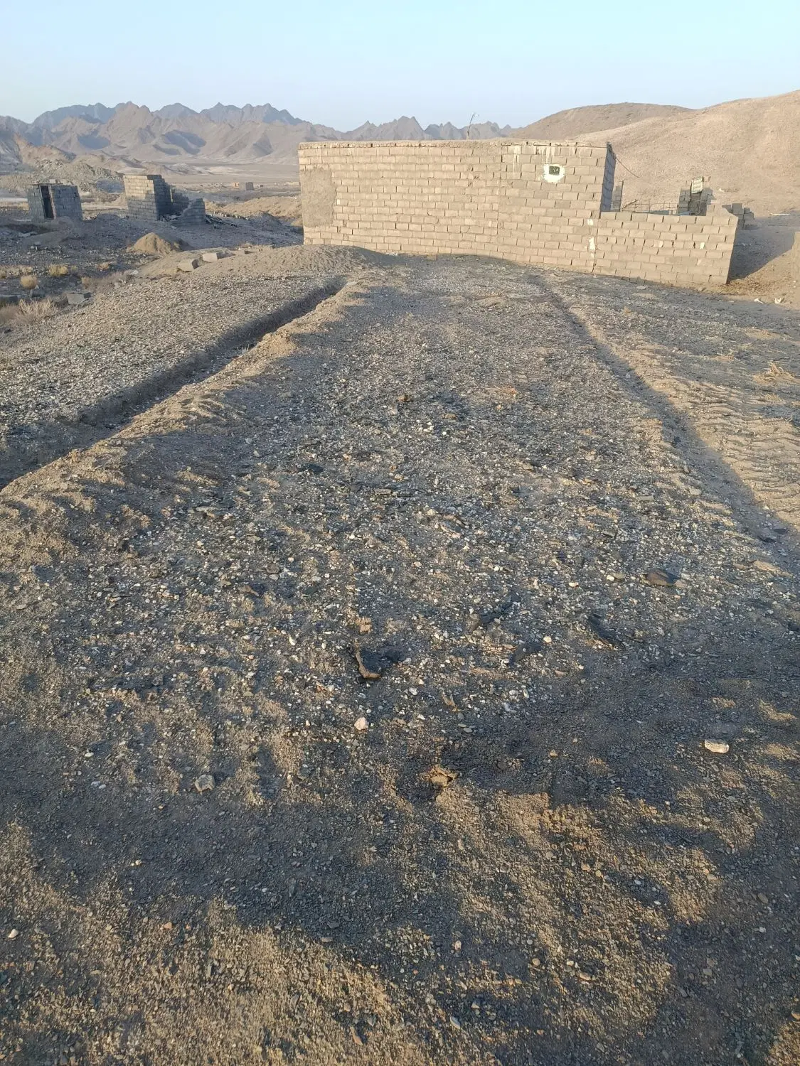 زمین کالیکه