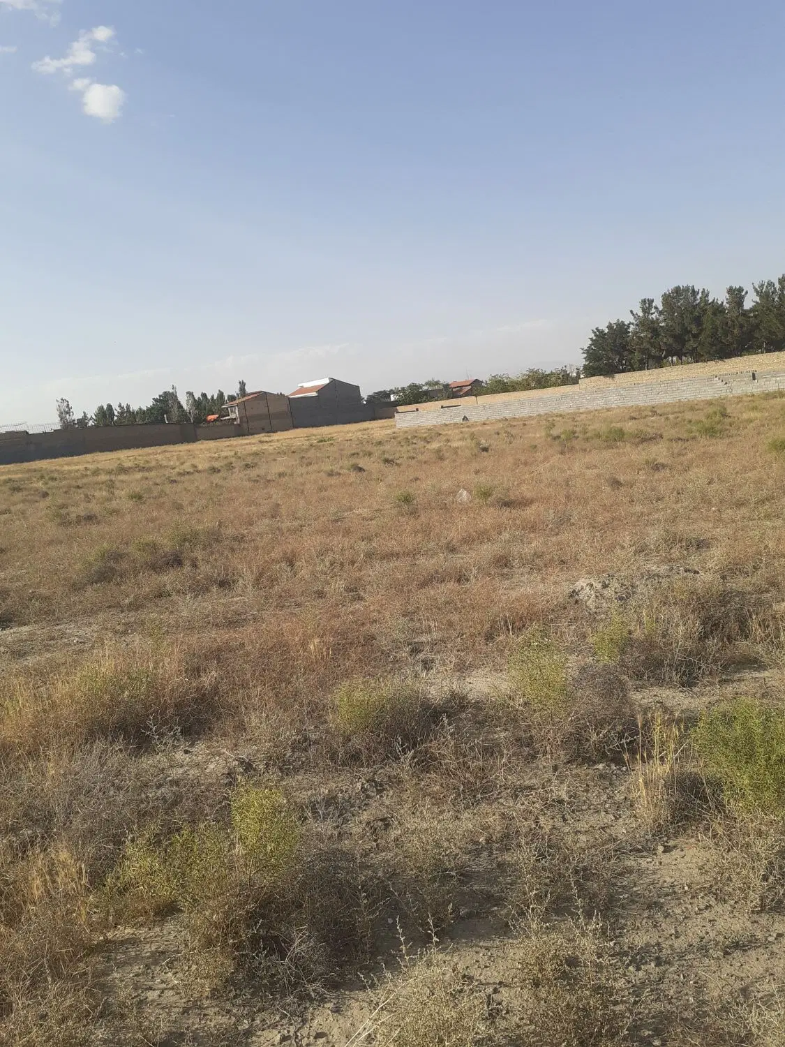 زمین فروشی مفت