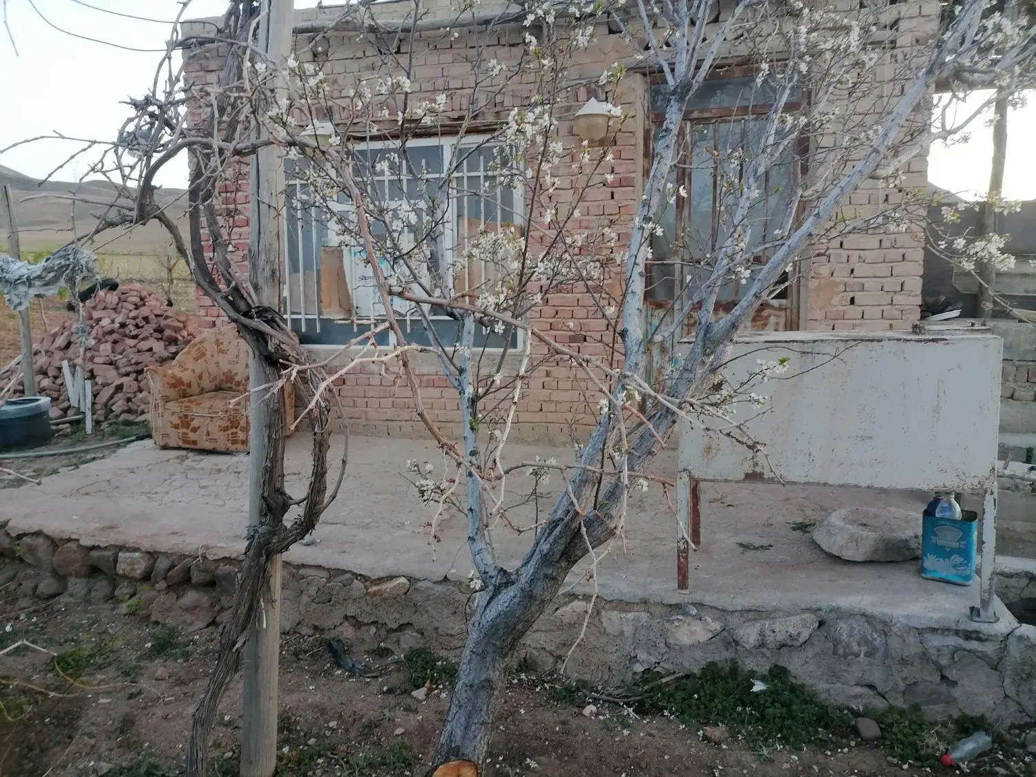 فروش باغ