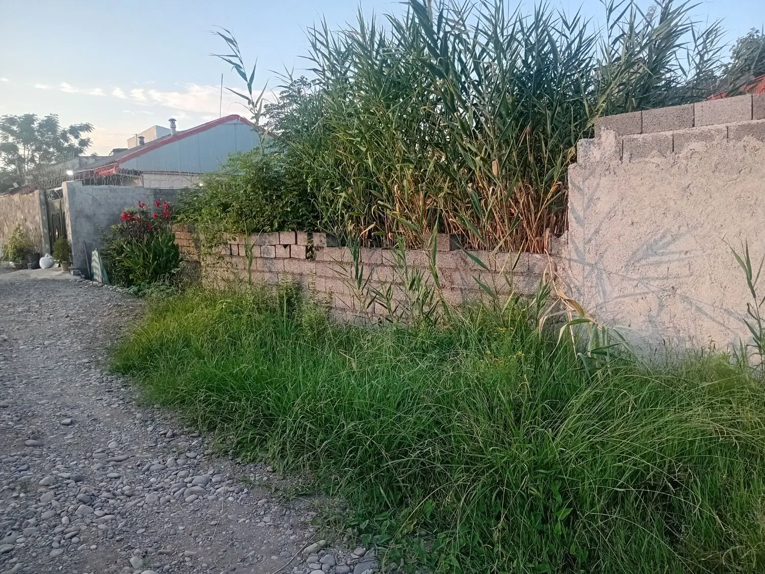 زمین مسکونی_زمین کوی امام رضا_زمین ۱۰۰ متری