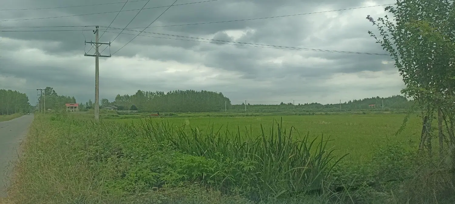 زمین زراعی باغی