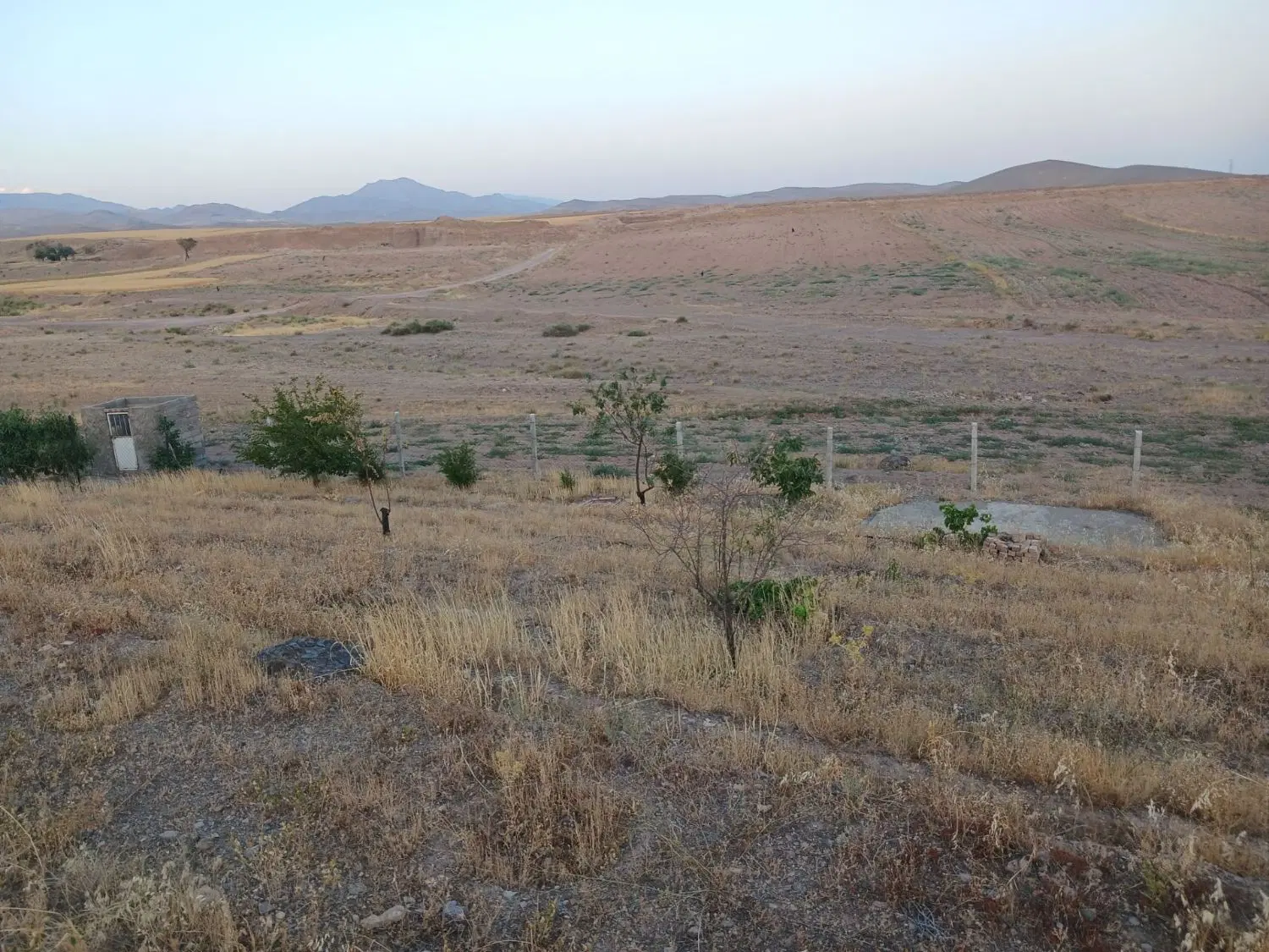 باغ ۱۰۰۰ متری ۲کیلومتری محمدیه