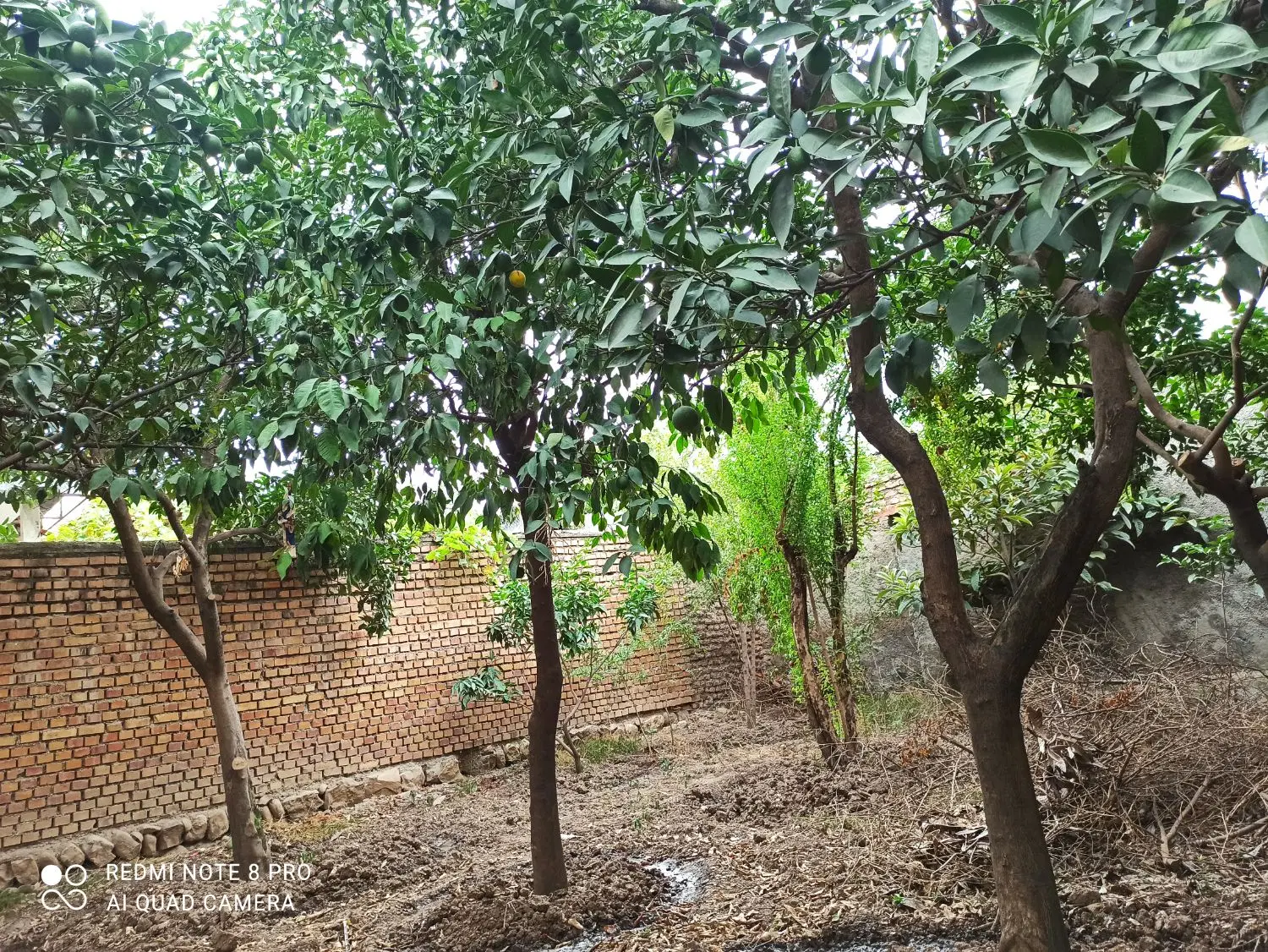 فروش ساختمان