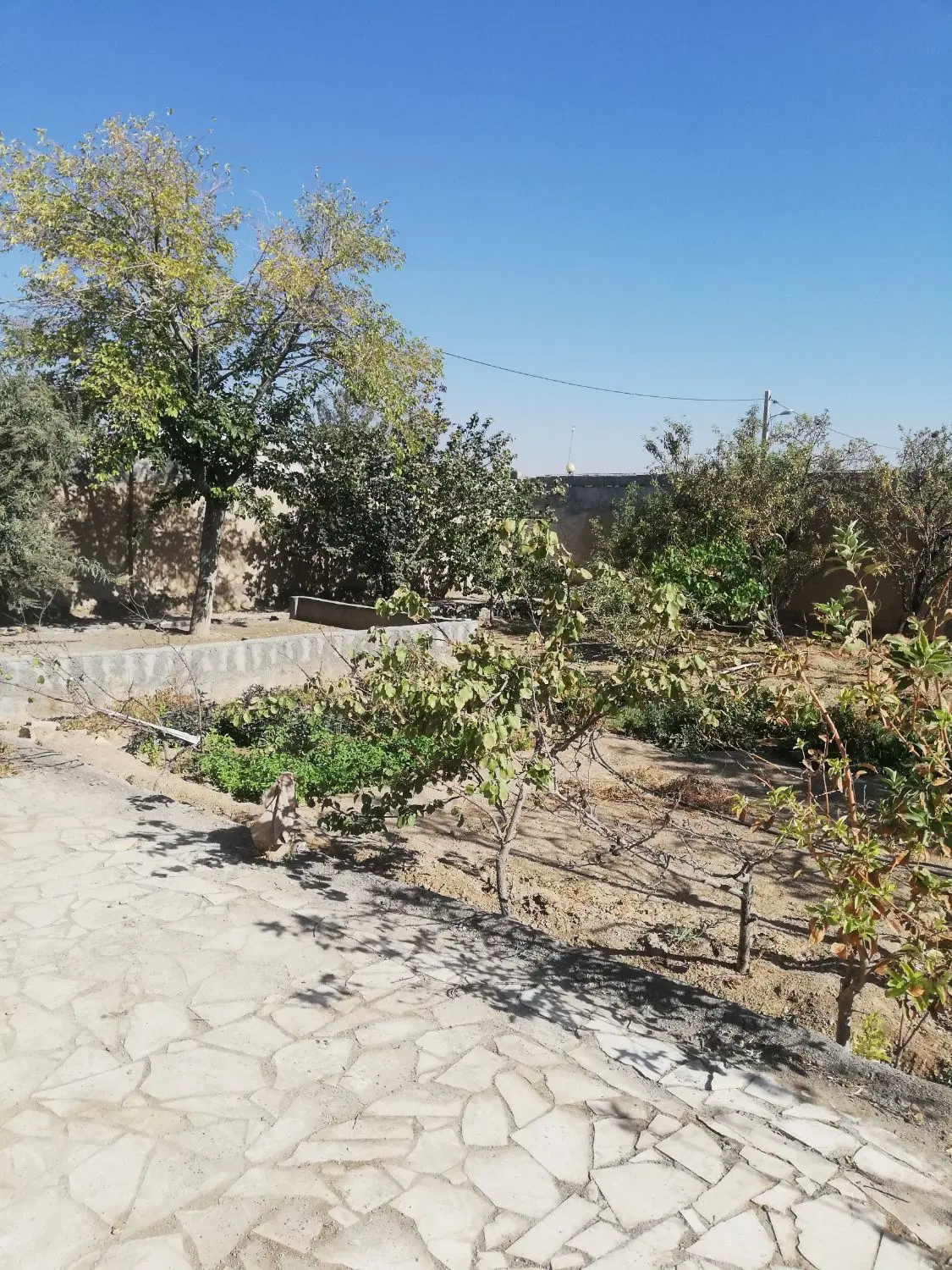 باغ 470 متری با امکانات
