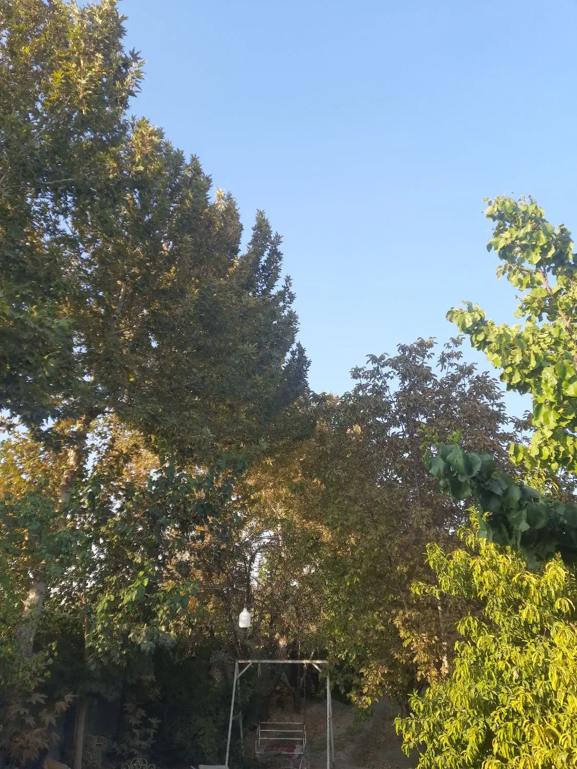 چهار دیواری باغی جاده آبشار بعد حیدرآباد
