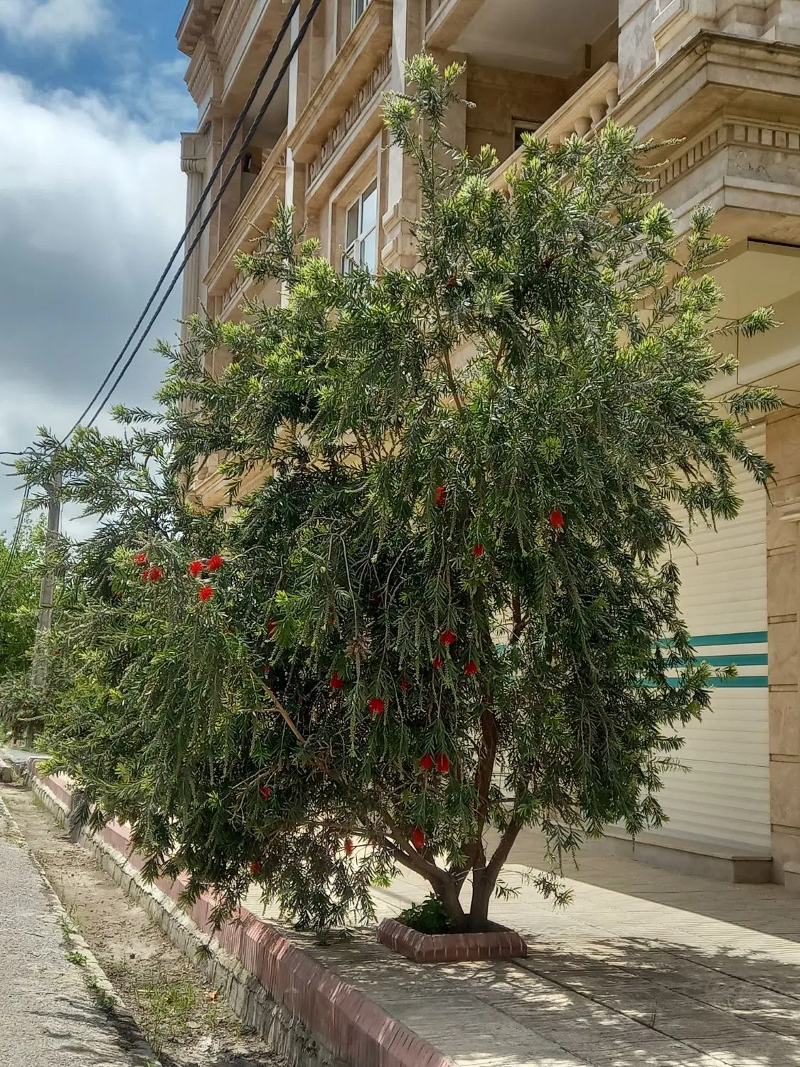 مجتمع مسکونی نیایش