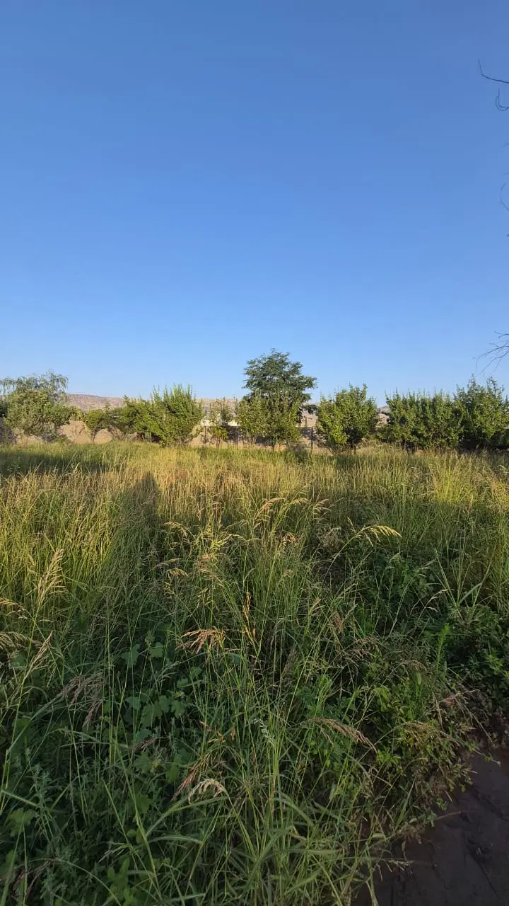 ۱۱۵۰ متر باغ محصور