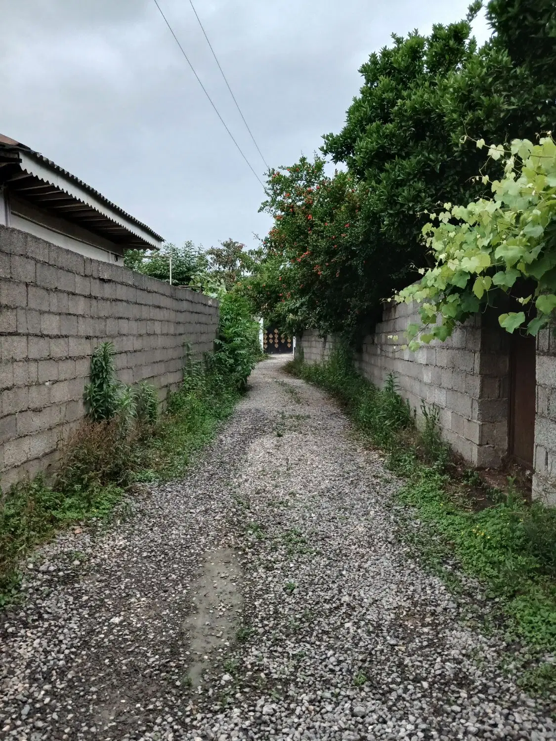 زمینی ب مساحت حدود۷۰۰ متر دارای سند