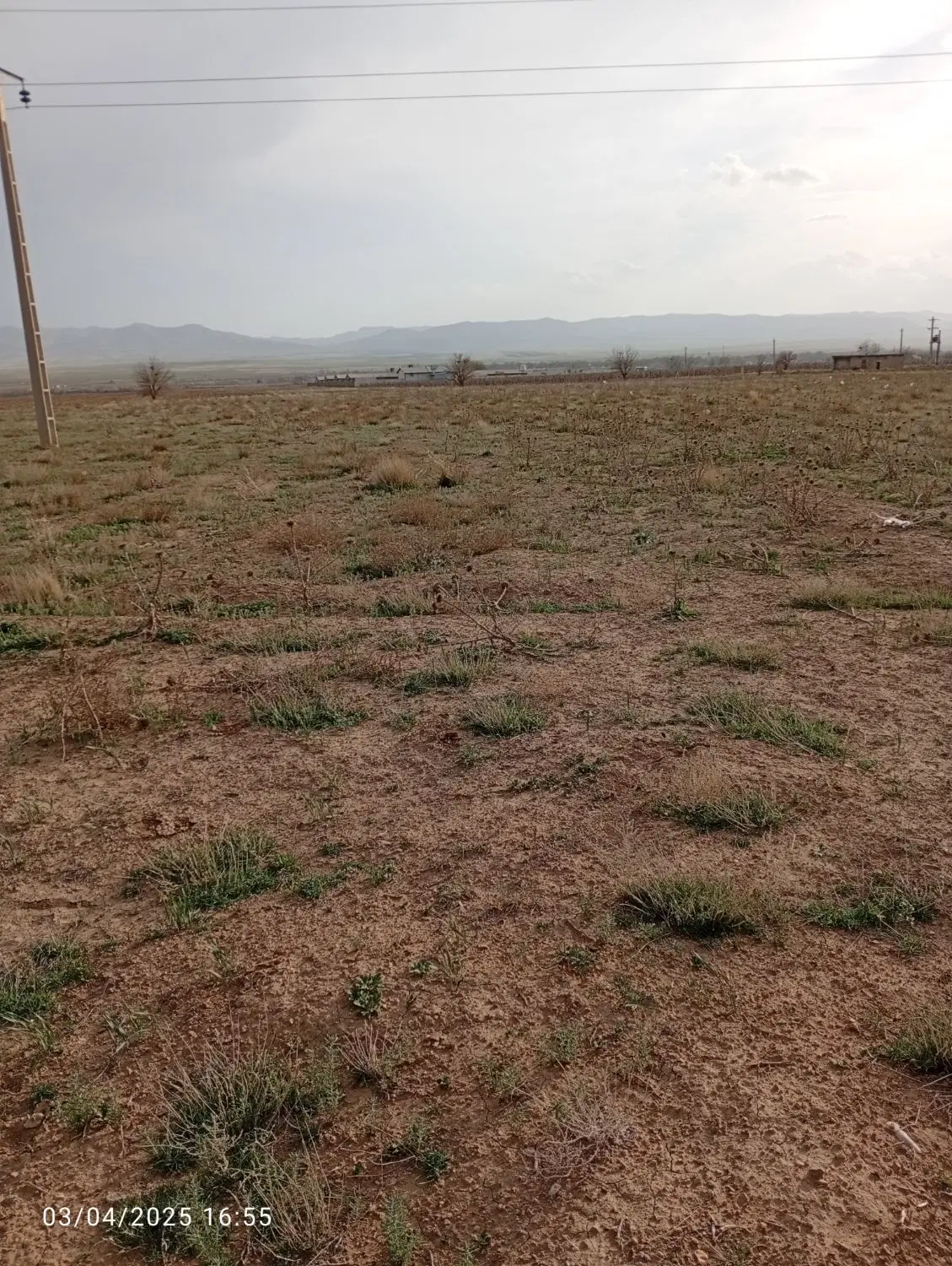 زمین کشاورزی