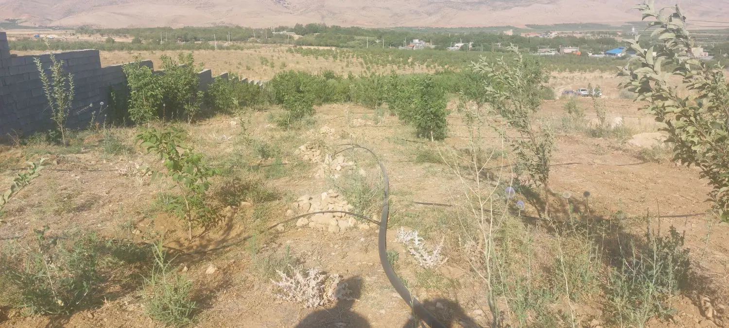 فروش زمین شرف اباد.کشاورز