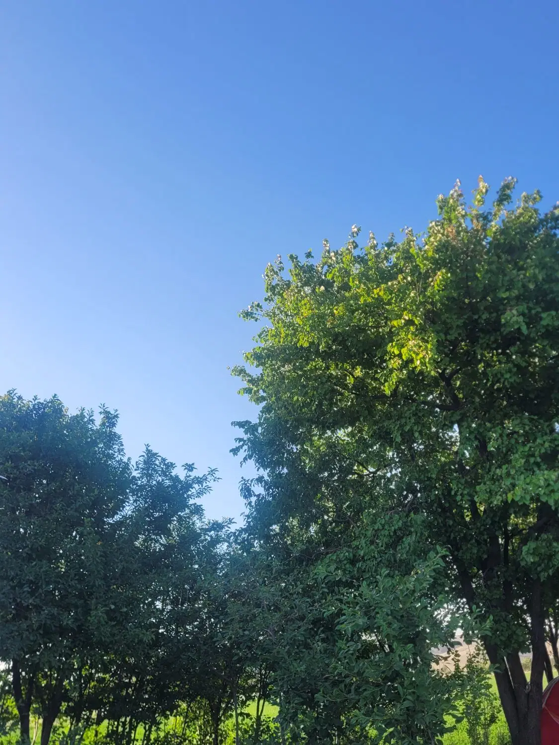 باغ ویلایی  شهرستان ملایر
