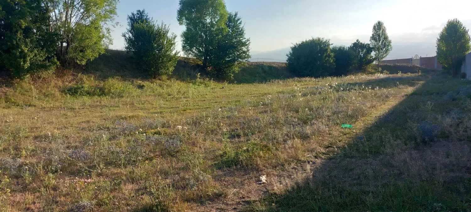 زمین باغ و مغازه در روستای گرجان