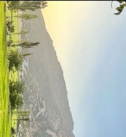 زمین