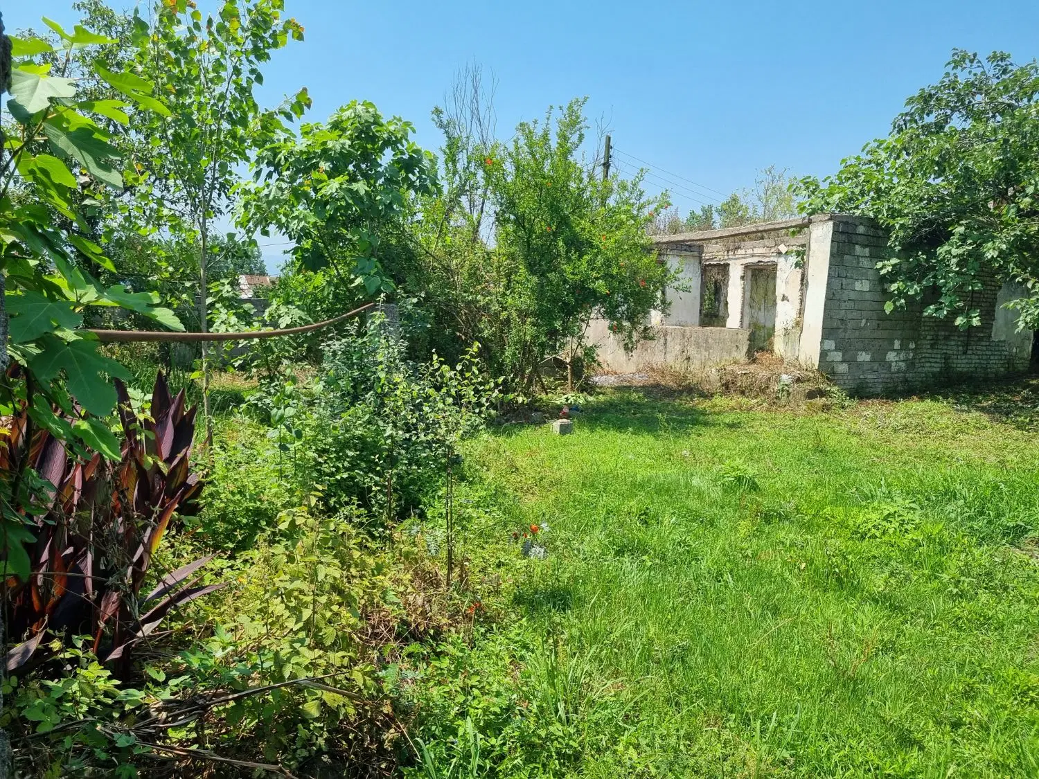 زمین مسکونی شمال