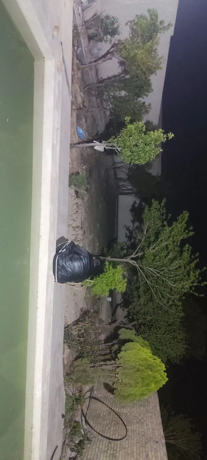 نوساز