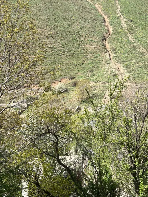 زمین فشم میگون