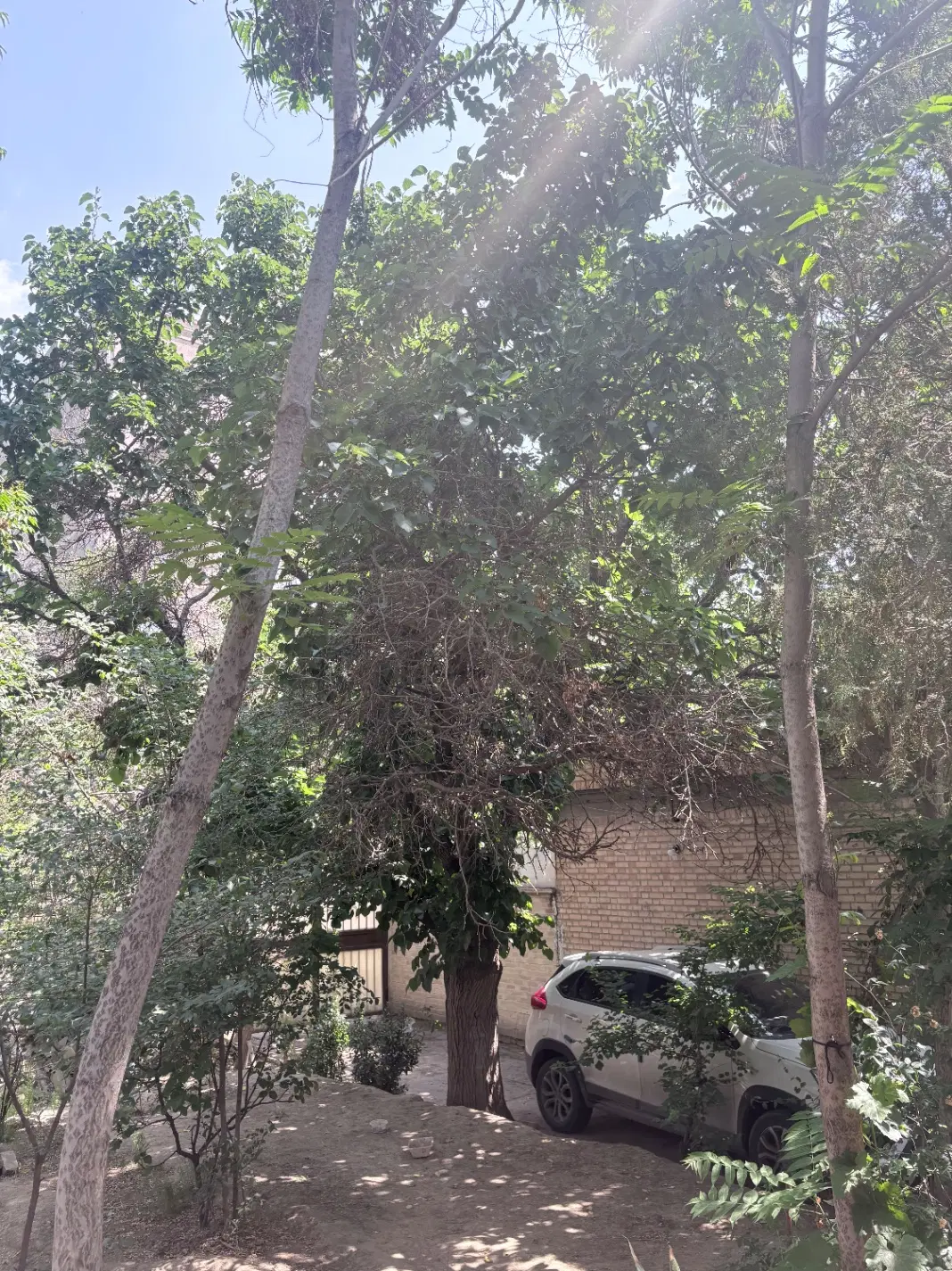 خانه ویلایی شهرک ابوذر