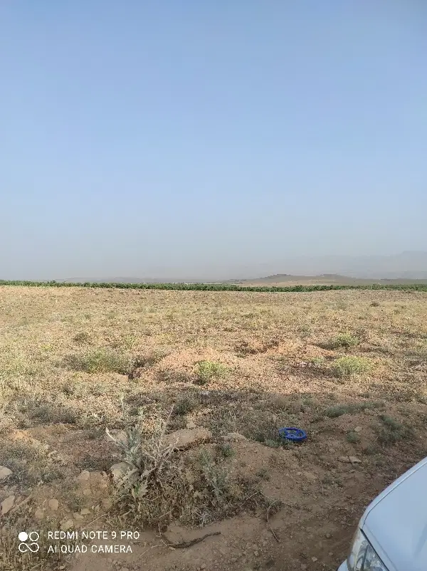 زمین کشاورزی