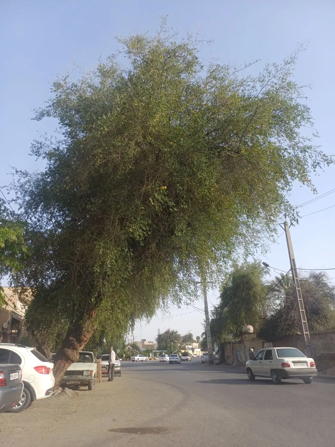 رسالت مثلثی روبه ارتش