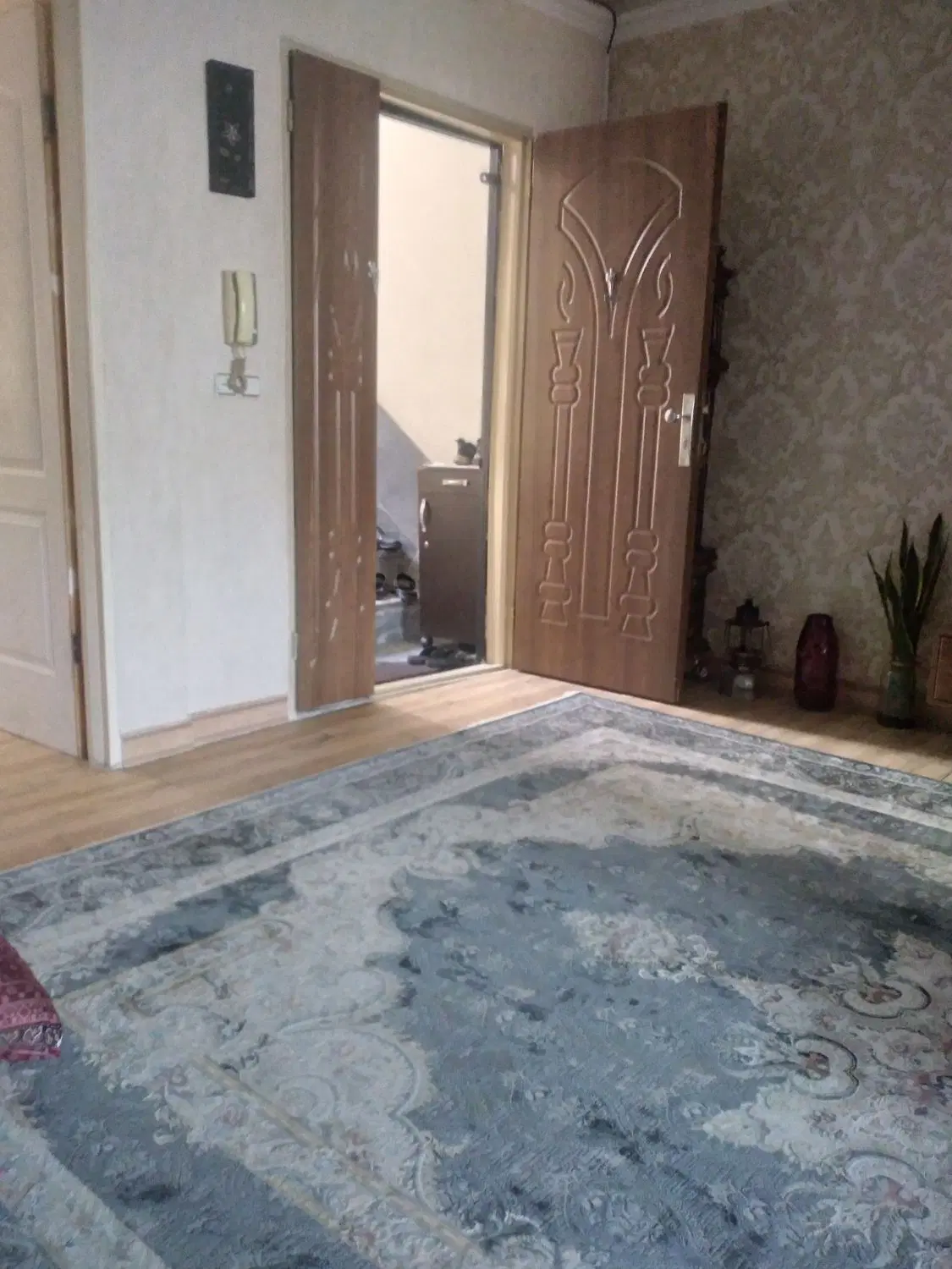 زمین سند تک برگ