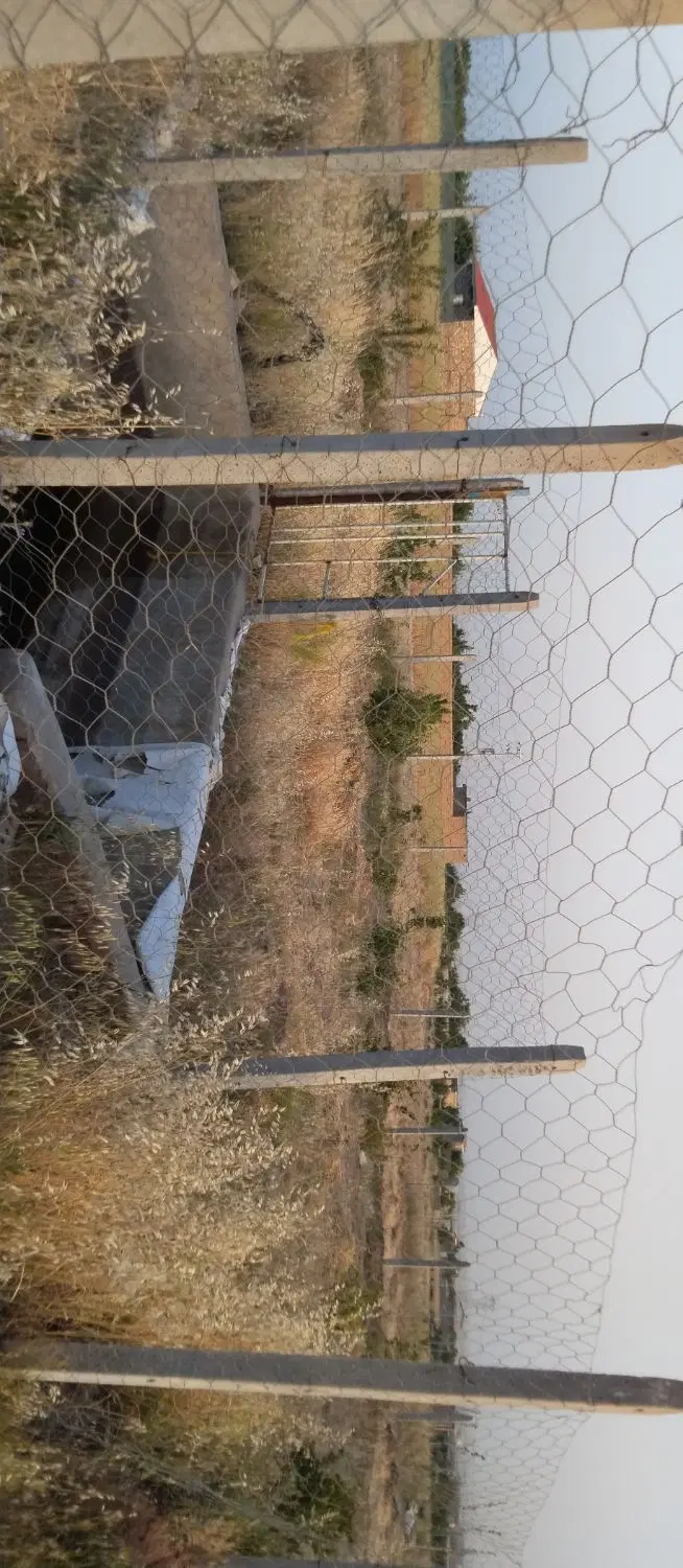 باغ در صومعه