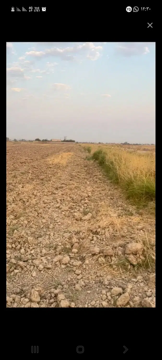 فروش زمین باغی اول جاده سر چشمه بعد پست برق