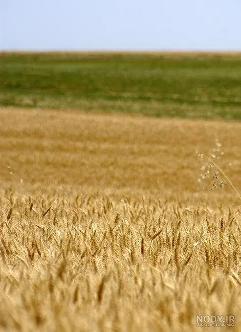 زمین مستثنیات