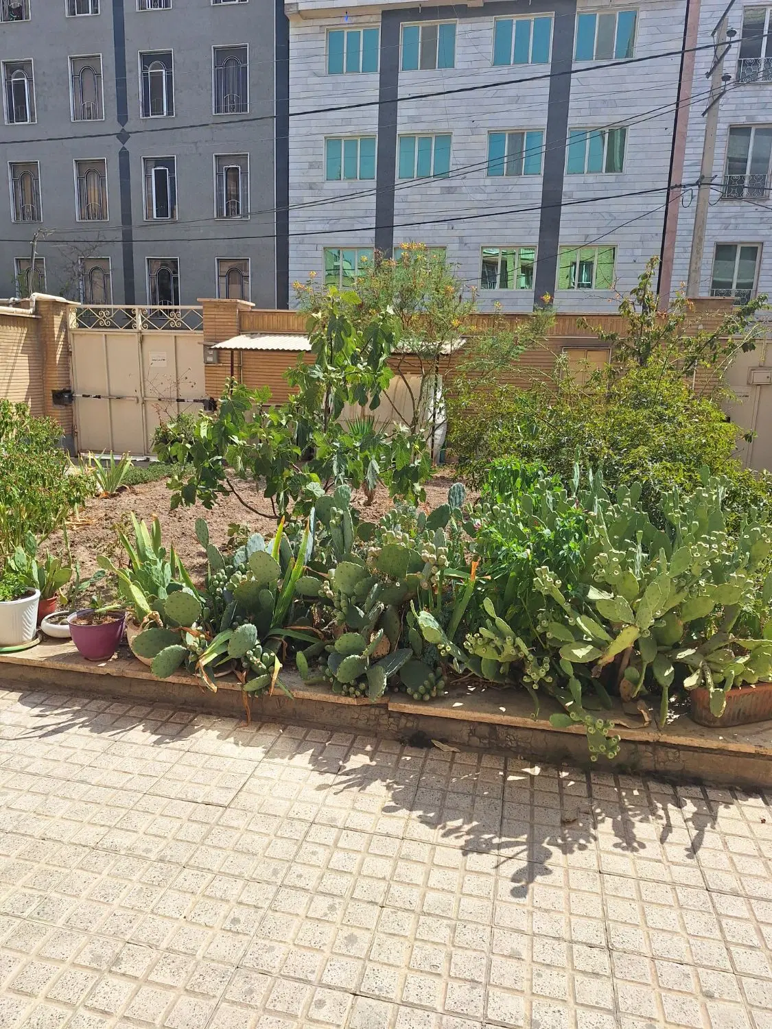 آپارتمان فروشی