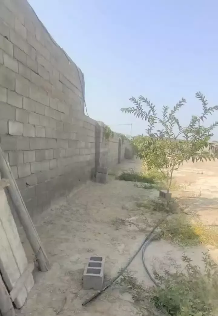 فروش زمین نوک آباد