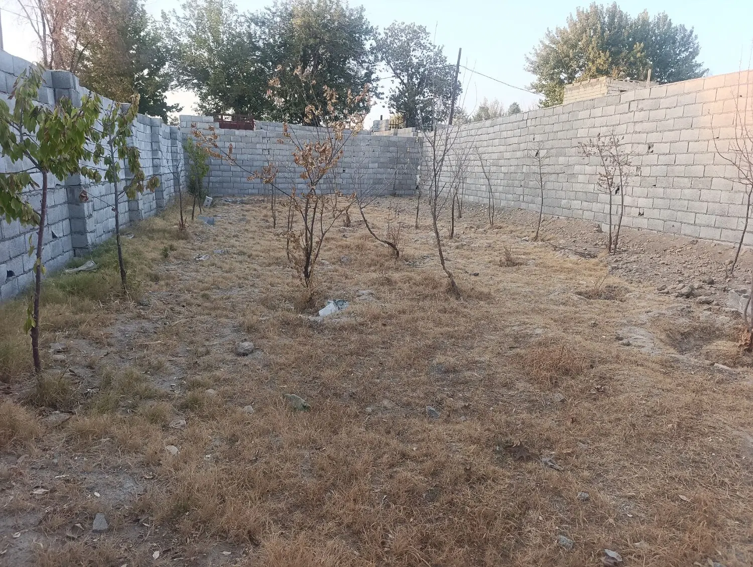 چهار دیواری