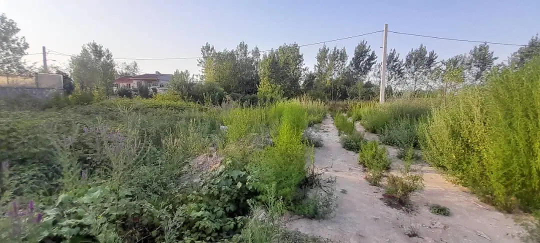 فروش زمین به متراژ ۹۵۰ متر در روستای آقاسید شریف