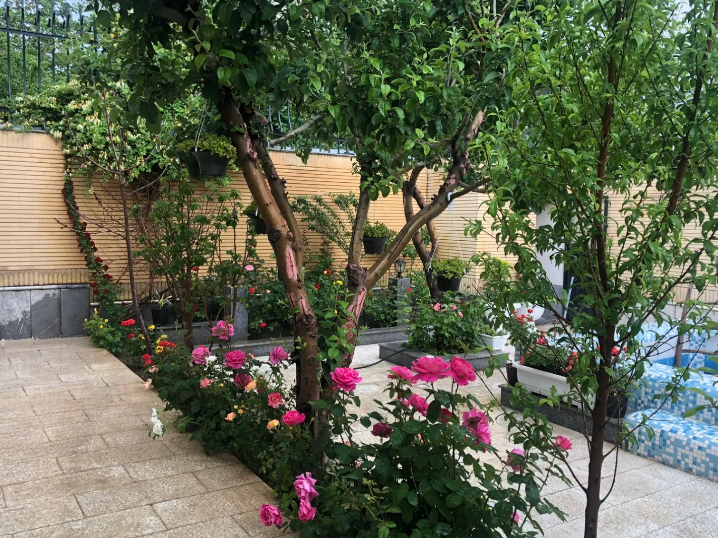 مشارکت صفر تا ۱۰۰ راه اندازی کافه لوکس