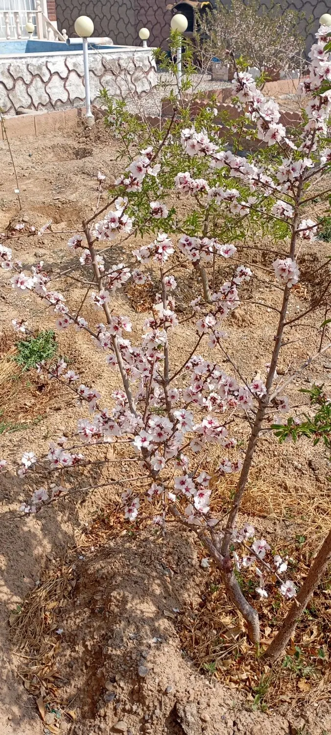 زمین قسمت چهارم یزدانشهر