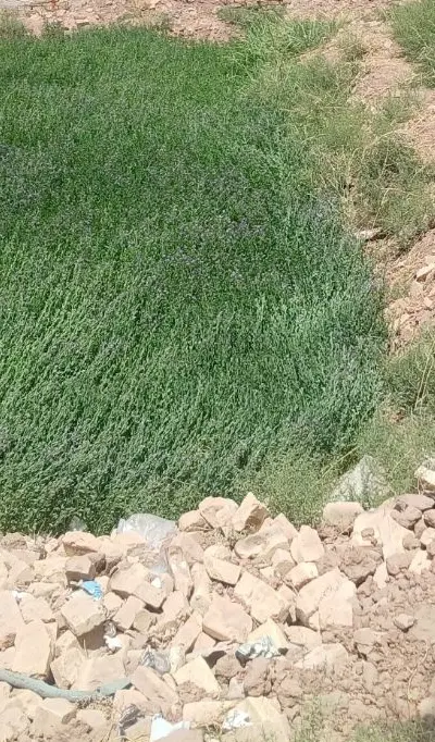 فروش زمین مسکونی