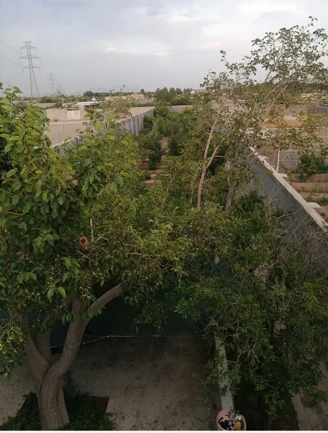 فروش زمین ۱۲۰۰ متری در حومه نجف آباد