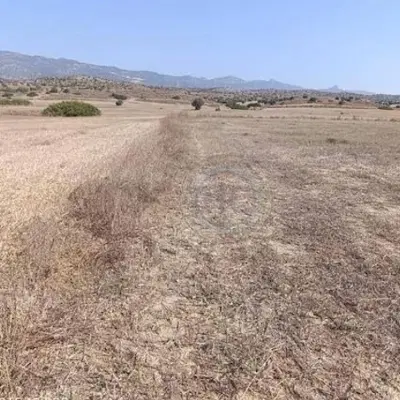 زمین ۹۰۰ متری امینیه