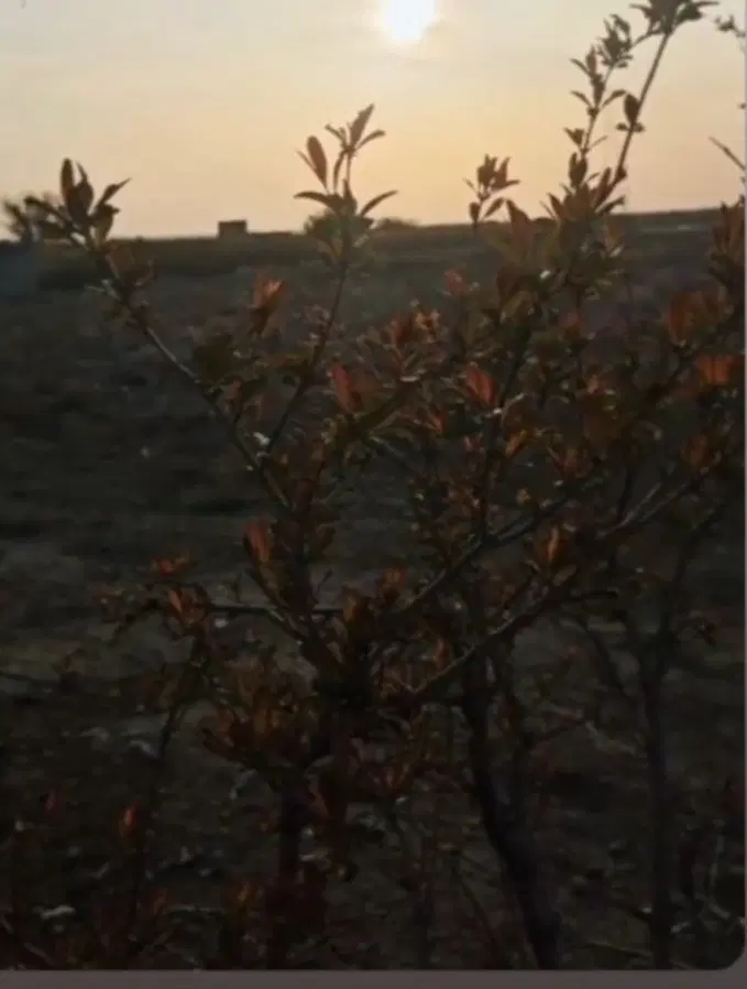 زمین باغی بنه آخوند
