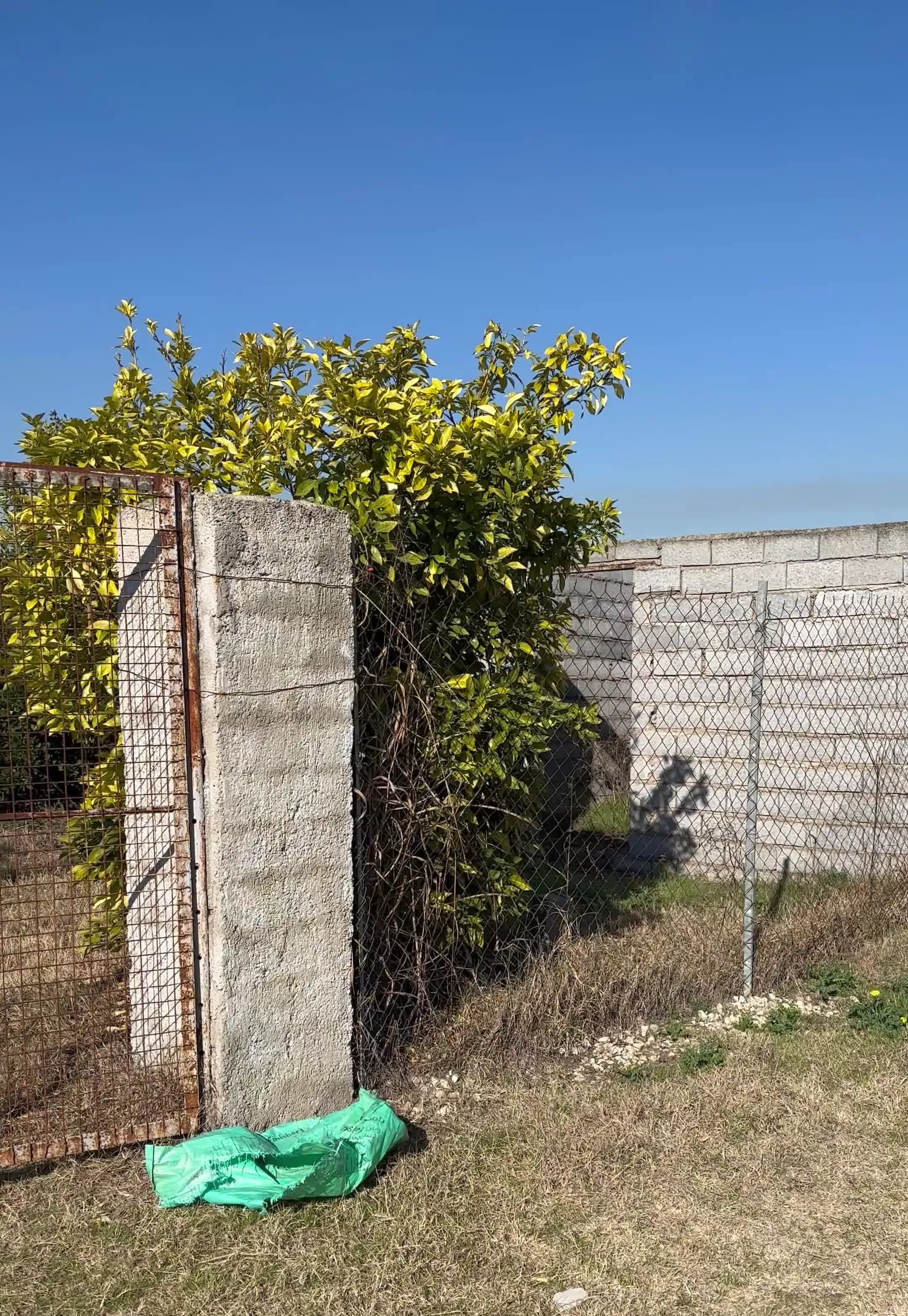 زمین به متراژ۱۵۰۰ مترابتدای روستای سوته