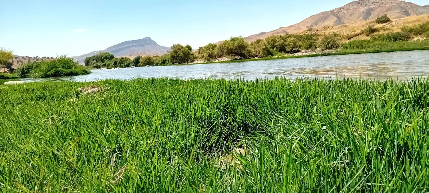 زمین مسکونی