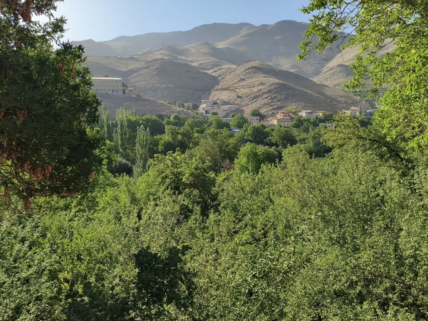 زمین ویلایی۱۷۰ متری فین بزرگ  رستوران قصر آزادی